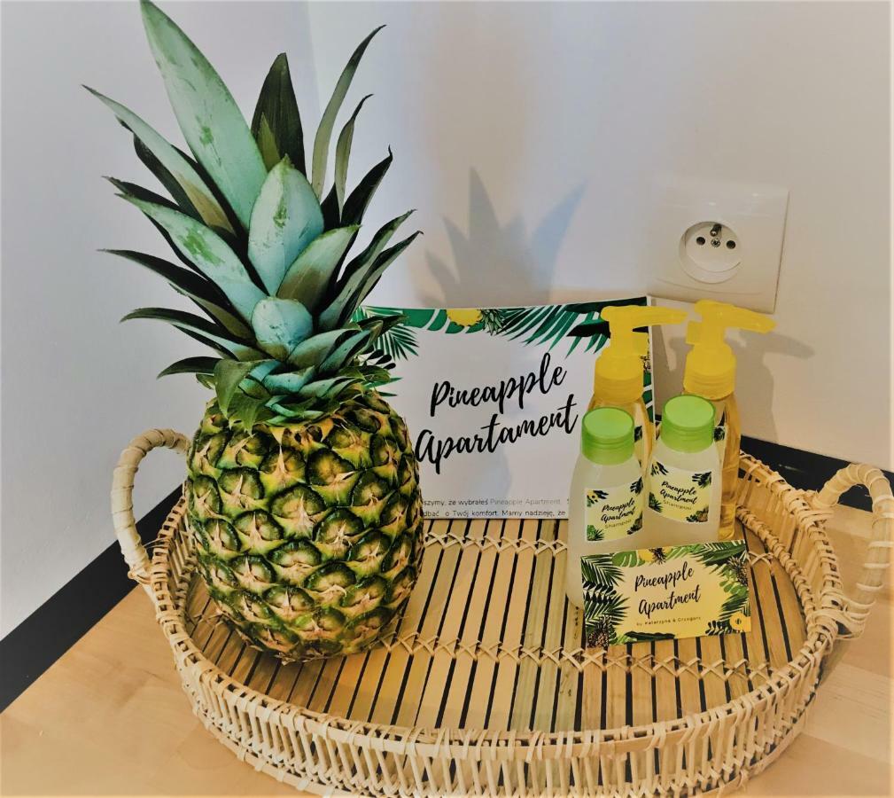 Pineapple Apartment Kołobrzeg Extérieur photo